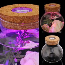 LED 코르크 유리병 푸딩병 저장유리병 밀페유리병