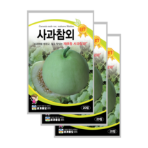 사과참외 씨앗 3봉, 3