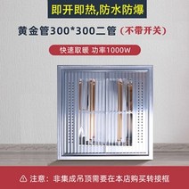 욕실난로 히터 난방기 온열등 통합 천장 램프 따뜻한 30 30 60 초박형 골드 튜브 탄소 섬유 광파, 스페셜 골드 2 튜브