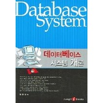 데이터베이스 시스템 개론, 정일