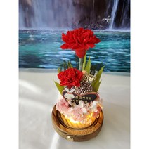 카네이션 프리저브드 유리돔 무드등 장미꽃 어버이날 선물 직장인 자취생 인테리어, 카네이션 무드등, 핑크