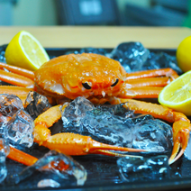 [수율보장] 산지직송 포항 구룡포 자숙 게찜 동해바다 대게 홍게 1.5kg 3kg, 명품 최고급 홍게 10마리 (3kg)