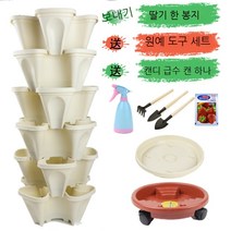 베란다 테라스 정원 실내 식물 딸기 수직 화분 키우기, 베이지 6개 물받이+일반 트레이+범용트레이