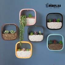 스퀘어 사각 행잉 플랜트 벽걸이 인테리어 벽 화분 수경 마리모 어항 집들이 액자화분 선물, 화이트