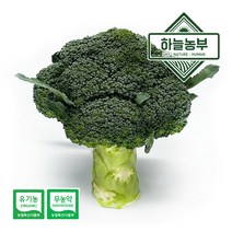 하늘농부 친환경 브로콜리 1kg 3kg