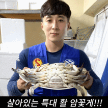 특대 꽃게 kg당 (3-4마리) 암꽃게(2-5kg) 가을 숫꽃게(3-5kg), 봄철 암꽃게 5kg