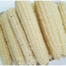 다이어트건강식 간식 병예방 냉동찰옥수수 찰옥수수 남여노소 괴산찰옥수수 청소년 9개, 상세페이지 참조