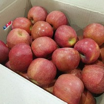 경북영천 고당도 꿀사과 4.5kg, 못난이(흠과)4.5kg