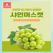 소과 샤인머스켓 2kg