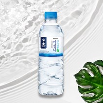 토트넘홋스퍼 먹는샘물 마신다 펫트, 40개, 500ml