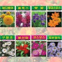 [5봉구매시+1봉] 꽃씨 모음 / 노지 월동 야생화 다년생 채송화 패랭이 다알리아 해바라기 봄 꽃 씨앗 종자, B.야생화씨앗, 민들레1000립