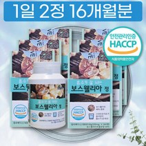 녹여먹는 씹어먹는 보스웰리아 정 섭취 방법 먹는법 섭취량 1000mg 함량 부모님 선물, 상세페이지 참조, 상세페이지 참조