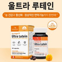 캐나다 루테인 베타카로틴 비타민 a e 아연 60캡슐 2개월