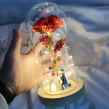 장미 프리저브드 유리돔 무드등, 블루 소년소녀