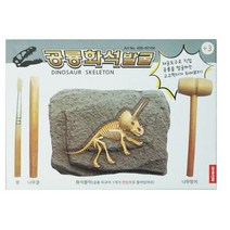 미소로 2500 공룡 화석 발굴키트 2104 156 x 32 x 110 mm, 6개