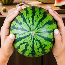 [특등급] 가락청과네 애플수박 6.5kg 수박화채 화채 수박화채만드는법 고창수박 무등산수박 고당도수박, 상세페이지 참조, 상세페이지 참조