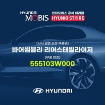 현대모비스 바어셈블리 리어스태빌라이저 (555103W000), 1개