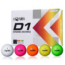 혼마골프정품 2022 NEW D1 2피스 골프공 비거리 병행, 멀티