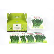 아시아종묘 보리싹 꼬마재배용기세트 (30g)