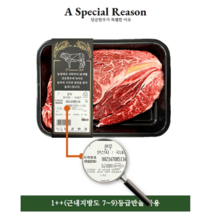 최고급 투뿔 한우 1.2kg 꽃등심 갈비살 구이용 소고기 선물세트