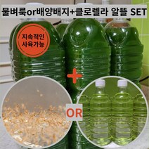 생먹이 물벼룩(or배양배지)+클로렐라 지속 사육 알뜰 세트 브라인쉬림프 대용, 3개, 생물안전포장, 클로렐라+배양배지