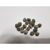 기름밤나무씨앗50g(70립), 1개