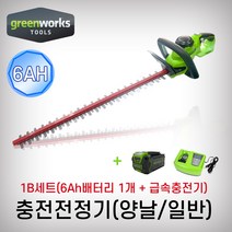 그린웍스 40V충전전정기(1B) 6Ah