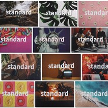 스탠다드 더스트 코일 매트 현관 발코니 베란다, Standard-0019