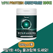 WPH 프로틴 류신 로이신 유청단백분말 아미노산 락토프리 근육합성 완두 단백분말 가루 280g 1통