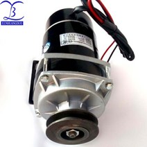 450w 500W 600W 24V/ 36V / 48v 벨트 풀리 기어 모터 브러시 모터 전기 세발 자전거 모터 DC 기어 브러시 모터 MY1020ZXF|직류 전동기|, 1개, 단일, 48V 650W