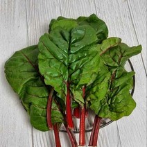 경기 광주 유기농 적근대 1kg, 단품