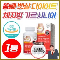 NWC 체지방 가르시니아 HCA 750 여름철 단기 간 다이어트 복부 허벅지 체지방 내장지방 감소 급찐 급빠 효과좋은 가성비 가루시니아 남성 여성 뱃살 줄이는 빼는 빼기 약 X, 1개, 가르시니아플러스 (2개월분)
