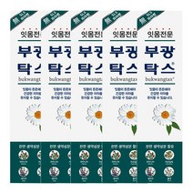 부광약품 부광탁스 잇몸전문 치약 120gx5개, 5개