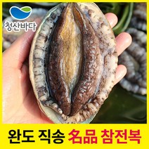 [청산바다] 완도직송 활전복 대복 9-10미 1.5kg(14-15마리), 단품