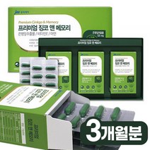 혈액순환개선제 은행나무추출물 뇌에좋은 인지력 기억력향상 영양제 은행잎엑스 건망증영양제 징코플러스 징코빌로바 은행잎추출물 기억력개선 기억력영양제 포스파티딜세린 두뇌영양제 은행엽엑스
