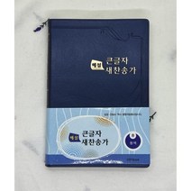 큰글자 해설 새찬송가 중 비닐 / 생명의말씀사