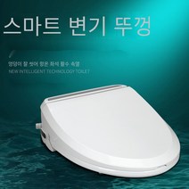 MBH 원격 제어 일정한 온도 난방 원격 제어 범용 간단한 청소 화장실 커버와 스마트 화장실 커버 블루밍 비데 비데설치 방수 비데, 일반 금액