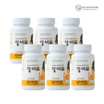 (웰빙플러스) 변비직빵 삭비움 장건강 쾌변 식이섬유 숙변제거 기능식품 60정 1개, 60g, 6box