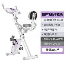 헬스장 사이클 바이크 스피닝자전거 실내운동자전거 하체운동기구 접이식 실내싸이클 게임 추천 무소음, 퍼플 자기 제어 무음 지존 밴드 등받이