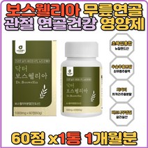 보스웰리아 관절연골 관절건강 무릎통증 추천 관절붓기 활동장애 관절영양제 연골건강 인도산 무릎관절 영양제 정제 효능 초록입홍합 우슬 유황 발목 손목치커리 40대 50대 60대 갱년기 손가락관절통증