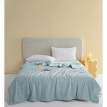 BANHANY 여름 쿨링 양면 스트라이프 컬러 배색 부드러운 차렵이불 5color 22062304