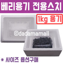 블루베리 1kg용기전용 스치박스, 베리통형3k (3개입) /간지포함
