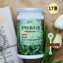 네덜란드 프락토올리고당 분말 신프리바이오틱스 유산균분양 갈락토올리고당 이눌린 350g17통