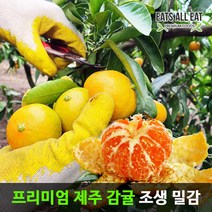 이츠올릿 제주하우스 고당도 감귤 못난이 5kg 소중과 제주도 조생귤 노지 귤 타이백 밀감, 상세페이지 참조, 상세페이지 참조, 상세페이지 참조