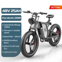 EKX 용 전기 자전거 산악 및 도로용 오토바이 내구성 있는 Ebike 유압 오일 브레이크 20인치 X20 30Ah, [09] 2000W-25Ah