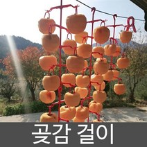 동명농자재 곶감걸이 곶감만들기 감건조대, 선택1) 곶감걸이 5개 (감50개용) + 곶감핀 미포함