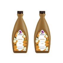 [천삼백케이] [메가커피] 포모나 카라멜 소스 2kg 2개세트, 단품