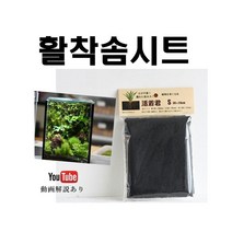 활착 솜 시트 S M L [비바리움 팔루다리움 테라리움 만들기], L (60x48), 1개