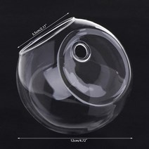 벽걸이어항 투명 유리 꽃병 벽 수경 테라리움 수조 화분 화분 직경 810cm, 12cm