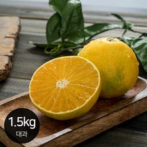 제주 황금향 고품격 감귤 신선한 달콤함 / 1.5kg 대과 가정용, 제품선택:황금향_1.5kg 대과_가정용